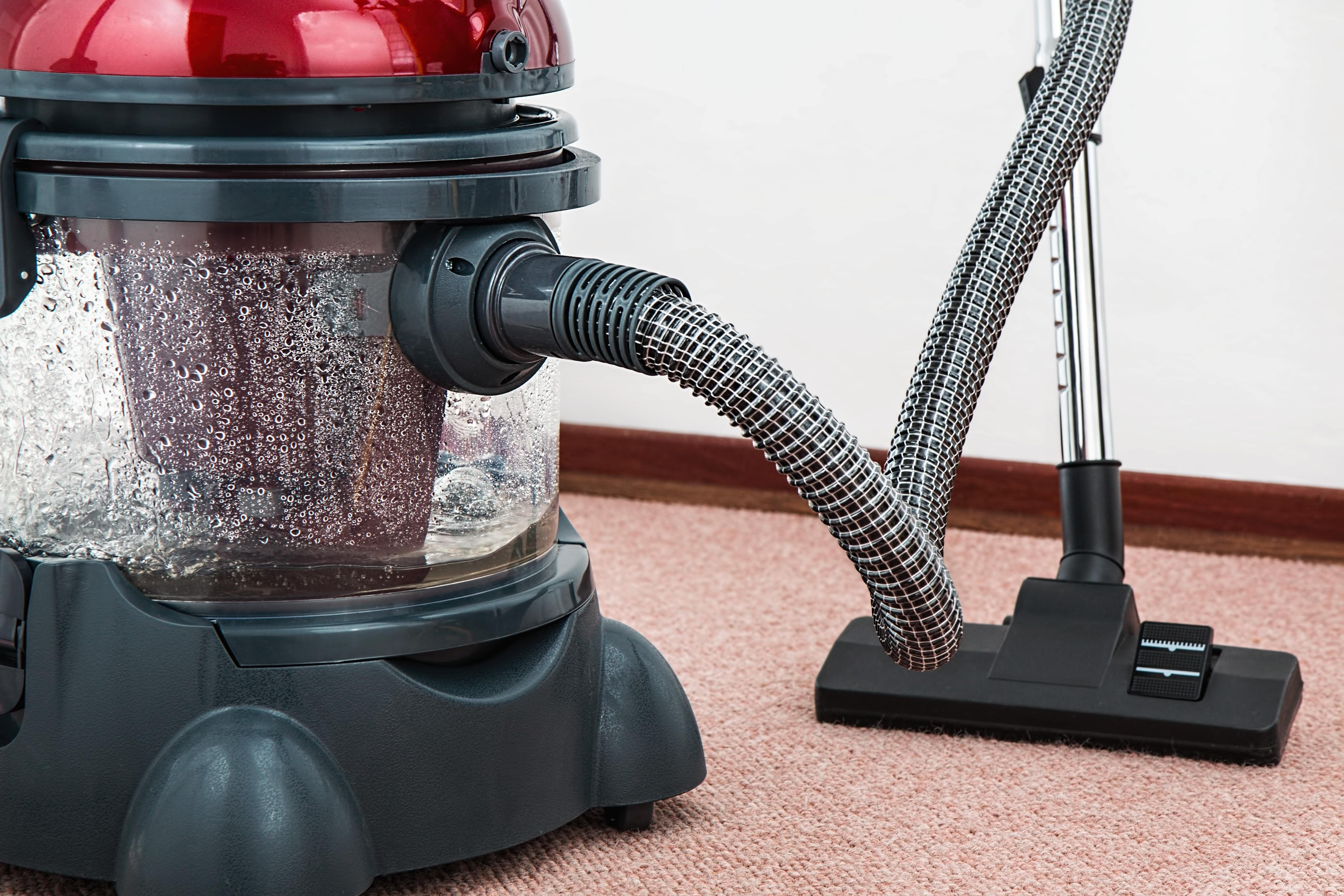 Top reasons to have your carpet professionally cleaned